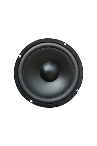 16 Cm Çıplak Hoparlör 6.5" - Pw-16.2