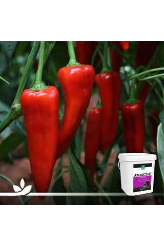 Genta Atrax Znp Orgamineral Gübre 20 Lt