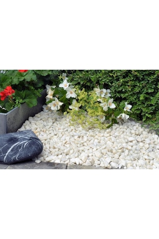 DOLOMİT TAŞI BEYAZ 4-6 cm 5 KG DOĞAL DEKORASYON TAŞI