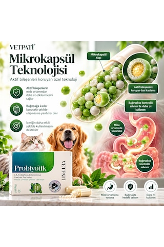 Vetpati Probiyotik Kedi Ve Köpekler İçin Probiyotik Prebiyotik Sinbiyotik Takviye 30 Kapsül