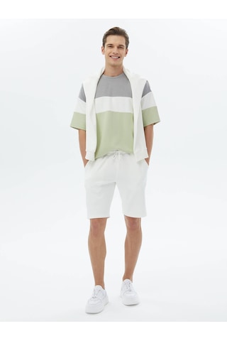 Kip Ekru Düz Örme Jogging Fit Casual Bermuda Çok Renkli