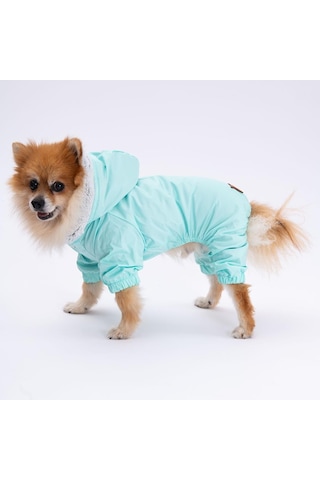 Pettrend Mint Kürklü Tulum Küçük Irk Köpek Yağmurluğu