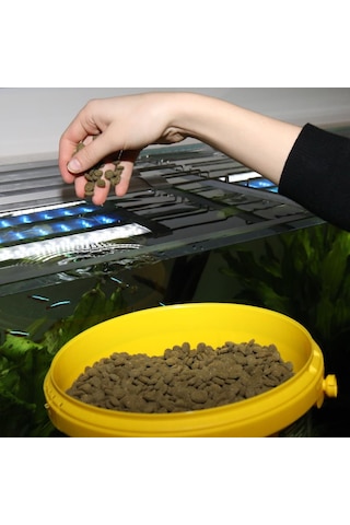 Jbl Pronovo Pleco Wafer M 5,5 L 2900 Gr