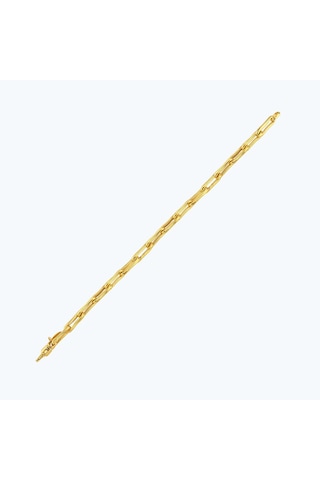 Altınbaş 22 Ayar Altın Zincir Bileklik Bbl0058-25941 Çok Renkli