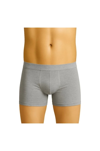 Angbutik Gri Mı 6800 Erkek Boxer
