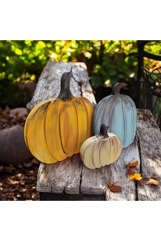 Naturel Görünümlü Balkabakları Ailesi 3'lü Set