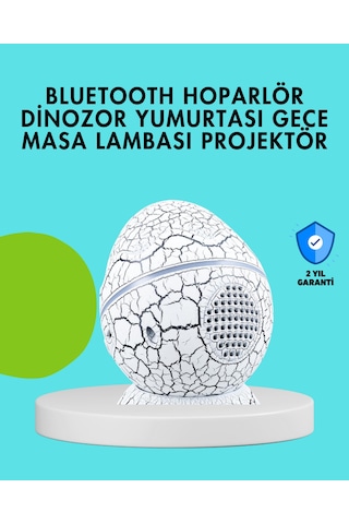 Dinozor Yumurtası Tasarımlı Gece Lambası Müzik Ve Işık Senkronizasyonlu Karışık