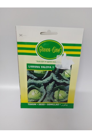 Beyaz Lahana Tohumu 10 Gr