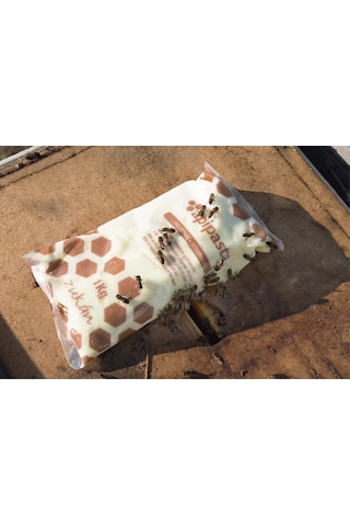 Apipasta Vitaminli Arı Yemi - 1 Kg/15 Adet - Arıcılık
