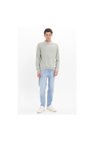Tudors Erkek Standart Fit Normal Kesim Uzun Kollu Ekstra Soft Modal Kumaş Bisiklet Yaka Yeşil Sweatshirt-50211