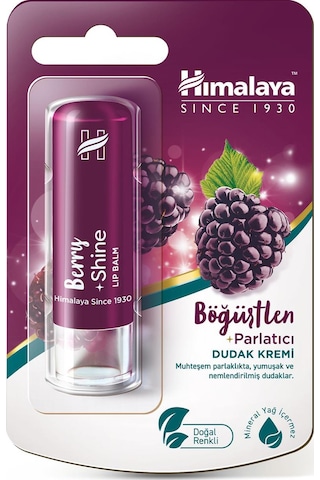Himalaya Böğürtlen Parlatıcı ve Nemlendirici Dudak Bakım Kremi 4.5 G