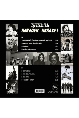 Hardal Nereden Nereye Renkli Plak Lp Plak