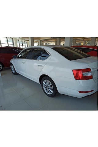 Skoda Octavia Cam Çerçevesi Kenar Çıtası Krom Tamtur 2013 /20