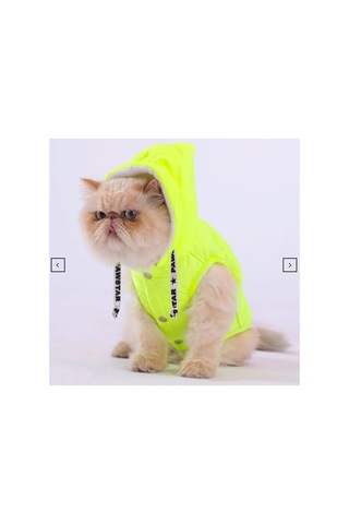Stupid Yeşil Nakışlı Şirin Köpek Kıyafeti