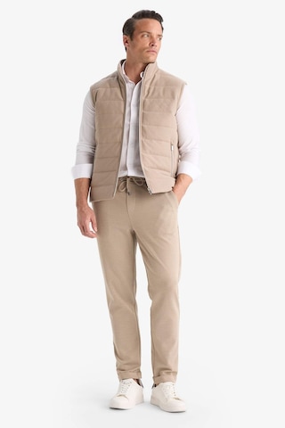Defacto Slim Fit Dar Kesim Dik Yaka Astarlı Fermuarlı Cepli Mevsimlik Baharlık Yelek D7536AX25AU Bej
