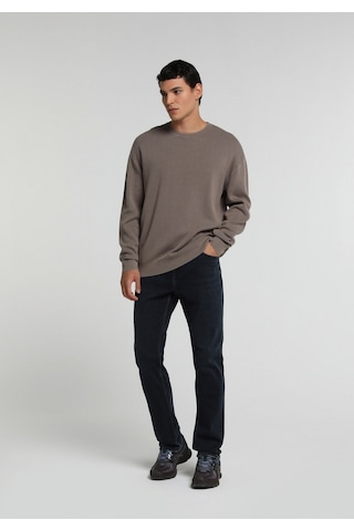 Colin's Colins Relaxed Fit Yuvarlak Yaka Düz Erkek Kahverengi Kazak Cl1082155 Q1.v2 Tpe Gri