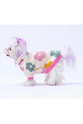 Pawstar Aspen Petals Küçük Irk Köpek Pofuduk Ceketi