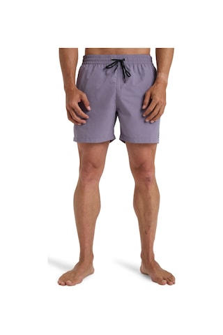 Billabong All Day Lb Lila Erkek Deniz Şortu Mor