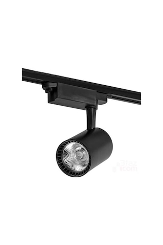 30W Led Ray Spot Siyah Kasa- Beyaz Işık