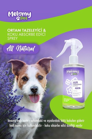 Tr Ortam Tazeleyici & Koku Absorbe Edici Sprey - 340ml