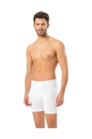 Erdem Erkek Pamuk Elastan Uzun Boxer 1470 - 6 Adet Beyaz