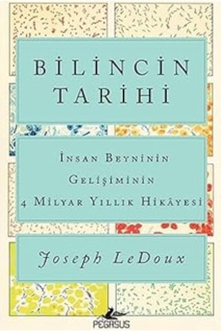 Yakın Tarihin Gerçekleri + Bilincin Tarihi - İnsan Beyninin Gelişiminin 4 Milyar Yıllık Hikayesi