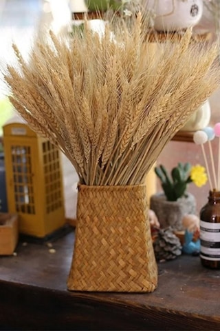 Naturel Başak Demeti Süslük Vazoluk Kuru Çiçek Buketi