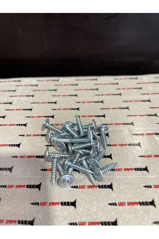 Stroj Tut 4,2x19 Pres Tablalı Galvanizli Sivri Vidalar 200 Adet 316441011 Diğer