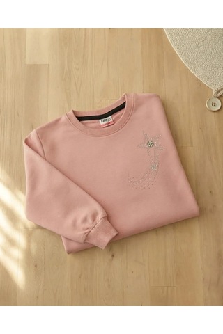 Alfa Kız Çocuk Pudra Renkli Kol Taslı Sweatshirt