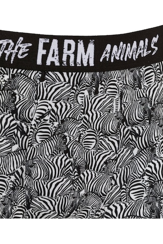 Farm Animals Zebra Desenli Boxer