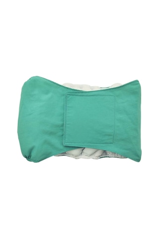 Erkek Köpek Özel Nezaket Kemeri Pet Fizyolojik Pantolon, Boyut: Xl Yeşil