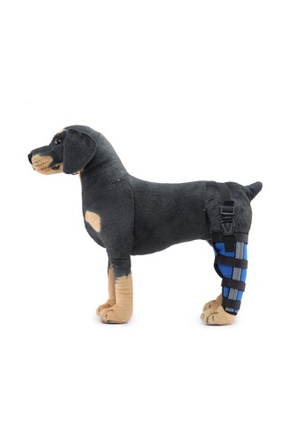 Homyl Pet Köpek Bacak Brace Arka Sıkıştırma Wrap M-mavi