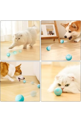 Mk Exclusıve İnteraktif Kedi Köpek Şarjlı Oyun Topu