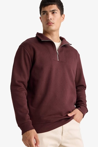 Defacto Regular Fit Yarım Balıkçı Yaka Fermuarlı Kalın Sweatshirt F4136ax25aubr230 Bordo