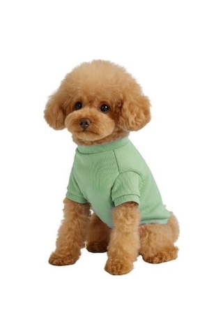 Gedyco Mint Küçük Irk Köpek Likralı Triko