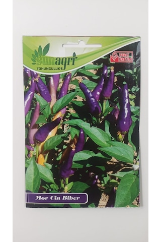 Bykurt Sunagri Mor Acı Cin Biber - Bahçe Ve Saksıda Dikime Uygun 50 Adet
