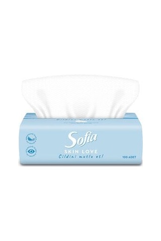 5 Adet Sofia Skin Love Mendil 100'lü
