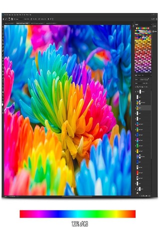 Huion Kamvas Pro 22 2019 IPS Panel FHD 21.5" LCD Grafik Tablet