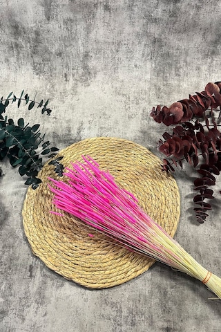 Pembe Solucan Otu Doğal Kurutulmuş Kuru Çiçek Solucan Otu Gelin Buketi Aranjman Çiçeği