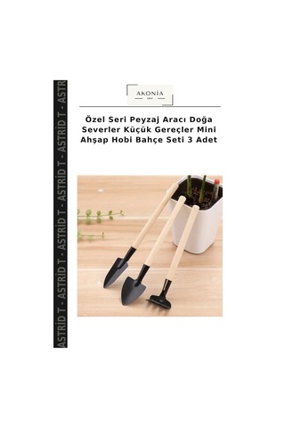 Özel Seri Peyzaj Aracı Doğa Severler Küçük Gereçler Mini Ahşap Hobi Bahçe Seti 3 Adet