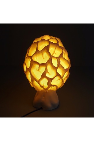 Esculenta Mantar Masa Ve Gece Lambası