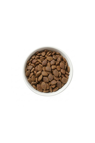 Zampa Plus Premium Somon Etli Küçük Irk Yetişkin Köpek İçin Kuru Mama 2500 G