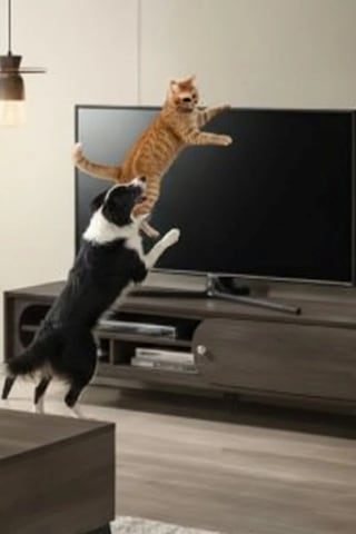 Usin Vidasız Montajsız Kendinden Yapışkanlı Lcd Tv Kemeri Çoçuk Y Tipi Deprem Koruma Güvenlik Askısı