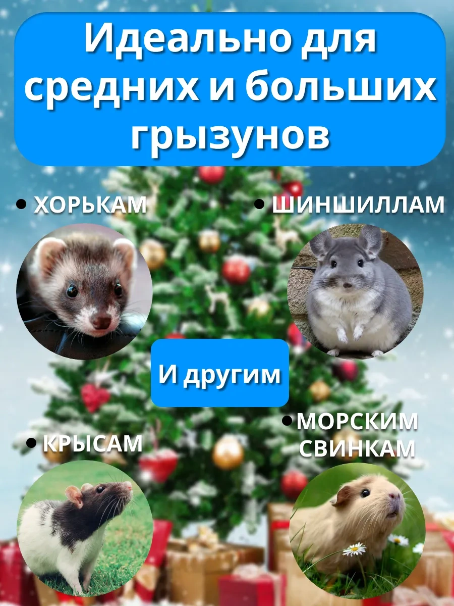 Petipet Kemirgenler Ve Sıçanlar İçin Kare Desenli Hamak 178091380