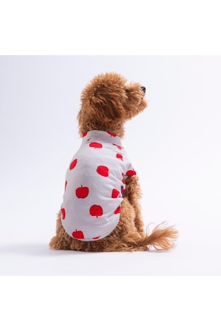Apple Pop Elma Desenli Kedi Köpek Sweati - Kedi Köpek Kıyafeti-kedi Köpek Sweati