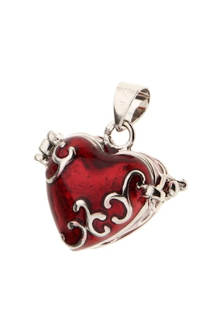 Soulader Kremasyon Kolye Hatıra Aksesuarı - İt Kolye Küçük Küllük - Kırmızı Renk Kırmızı