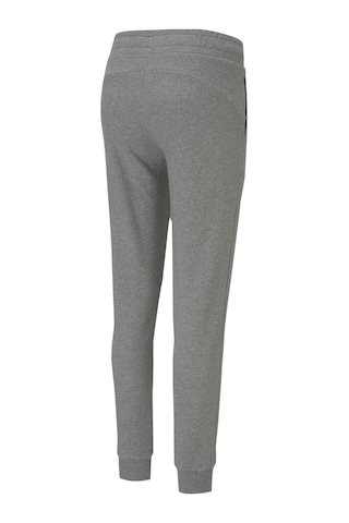Puma Teamgoal 23 Casuals Pants W Kadın Antrenman Eşofman Altı 65708433 Gri 001