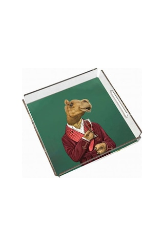 Mr. Camel Pleksi Tepsi - 25x25cm
