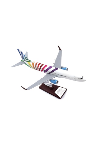 Zekupp - Maket Uçak - Boeing 737-800 1/100 - RENKLİ ÖZEL TASARIM Model Uçak