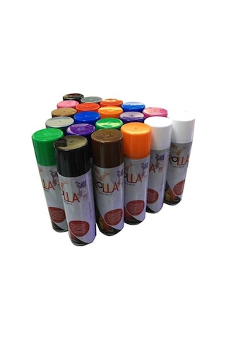 Rolla Sprey Boya 170 Ml